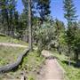 Pineview Trails and Parking at Hugh Allan Drive