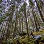 BEGBIE FALLS & RAINFOREST