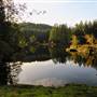 Mary Lake Nature Sanctuary