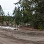 Boulder Mountain Road and Juniper Field near Posby Lake