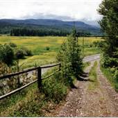 Black Creek Lodge