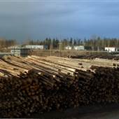 Quesnel Canfor