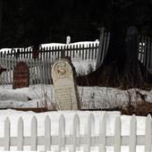 Barkerville Cemetary