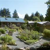Hazelwood Herb Farm