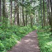 West Coast Trail