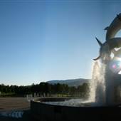 THE DOLPHINS ,WATERFRONT PARK