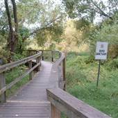 SIBELL MAUDE-ROXBY WETLANDS