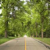 OTTER LAKE RD ARMSTRONG