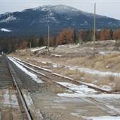 CN Tracks Siding WINTER