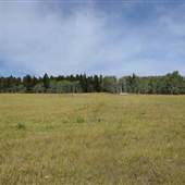 *Kullagh Road Grasslands - Hollis 01 Red Gate Area A,B,C