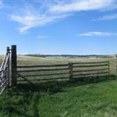 *DLR Jack Douglas Field Grasslands