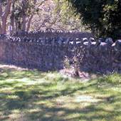 STREET - Lotbiniere Road/Wall