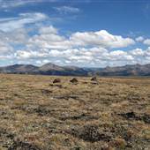 Perkins Peak