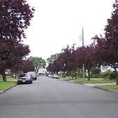 STREET - Beechwood Avenue 200blk