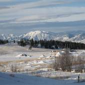 WINTER SNOW LANDSCAPES