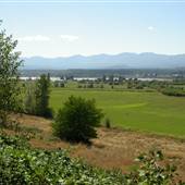 Back Road Fields