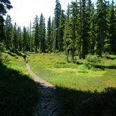 Phillips Ridge Trail