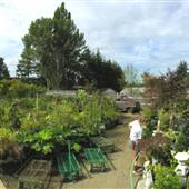 Sticks N Stones Nursery