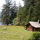Donegall Head Cabin