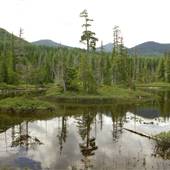 Back Road Pond
