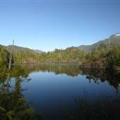 Larry Lake
