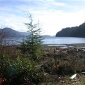 McMullen Point Beach