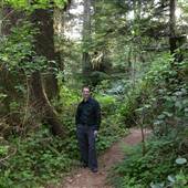 Old Growth Forest on the Wickaninnish Property