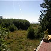 Pulteney Point Cabins (Red Cabin)
