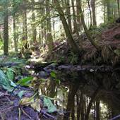 Marshwood Estate Winery (Marshwood Estate Creek)