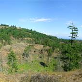 Lantzville Foothills