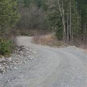 Elk Bay Main