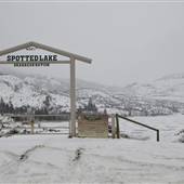 SPOTTED LK  ( Winter )