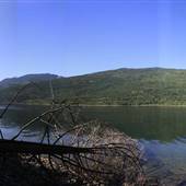 Adams Lake SE McLeod Point Boxrud Place