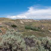 Ashcroft Indian Band 104b Lower Plateau overlooking Thompson River June