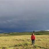 Kullagh Road Grasslands - Corral Road North 01 DUSK