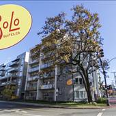 SoLo Suites