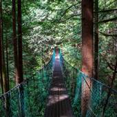 Juan de Fuca Suspension Bridge