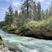 Skutz Falls (Cowichan River)