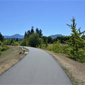 Kitsuksis Dyke Park
