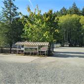 Little Qualicum Hatchery