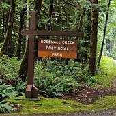 Rosewall Creek