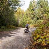 Cumberland Biking Trails