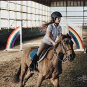Painted Horse Equestrian