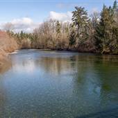 Puntledge River  (Condensory Bridge)