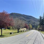 Village of Port Alice
