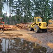 Gogo Sawmill