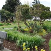 Larewood Park