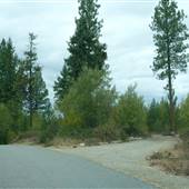 LOST MOOSE CAMPGROUND