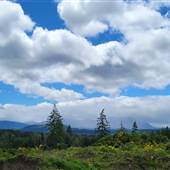 Nanaimo Lakes Road Vista
