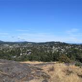 Christmas Hill